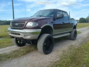 2002 Ford F-150 5.4L SOHC Engine VIN L (No EGR)