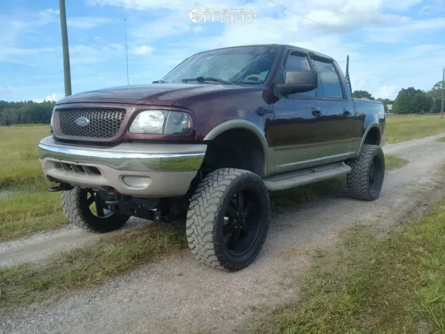 2002 Ford F-150 5.4L SOHC Engine VIN L (No EGR)